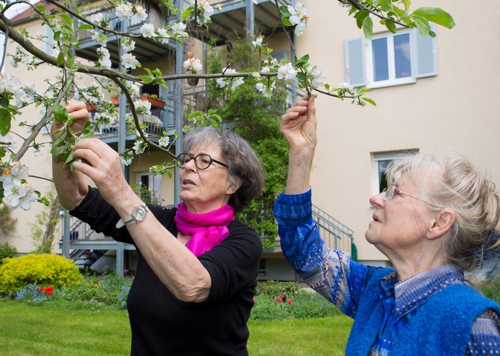 Galerie: Unser Garten
